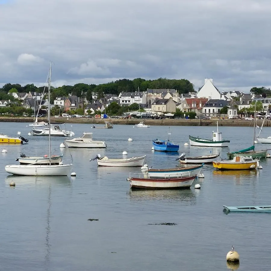Studio Lumineux Proche Port & Plages Benodet 0*,